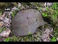 Relic Hunting Eastern Front of WWII Ep. 22 HD Раскопки Вторая Мировая Война Металлоискатель