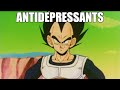 Vegeta S Big Wish Vegeta S Big Wish