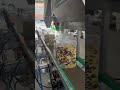 Granule Filling, Capping, Labeling &amp; Sealing Packaging Line | Automatic Granule Packaging Solution