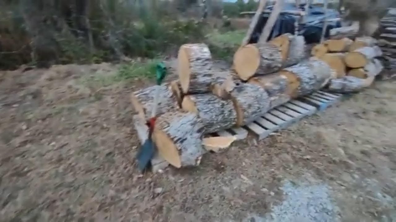 What Have I Been Up To Lately? Pt 2 . Cutting Up That Big Oak Tree For ...