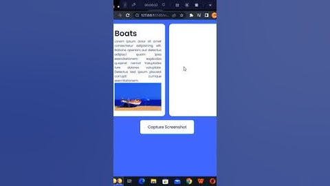 Take Screenshot With Javascript