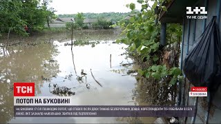 Новости Украины: какой вред нанесла высокая вода на Буковине