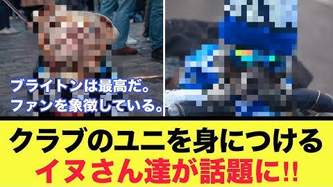 クラブのグッズを身につけるワンコたちが話題に！！！