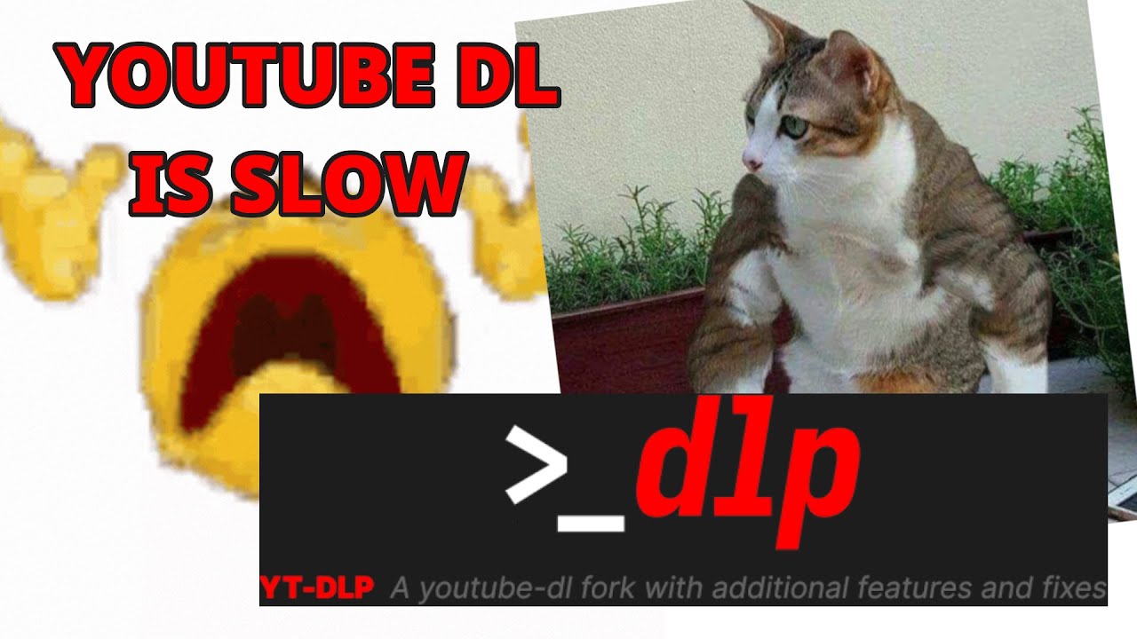 How To Uninstall Youtube Dl