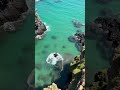cliff jump 😂