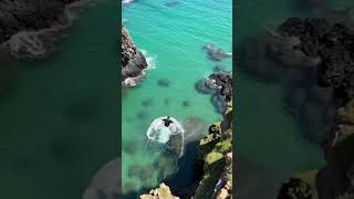 cliff jump 😂