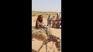 What to know about where things stand with the war in Sudan