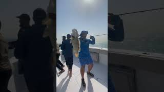 ⛔Rod➡️The new Okuma ICHEBAN slow Jigging 15-60g⛔Reel➡️MULTI STRIKER V Multi Striker Buoy #fishing Resimi