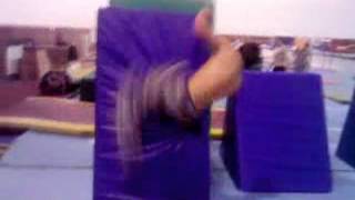 Wall Spin Gainer 2012