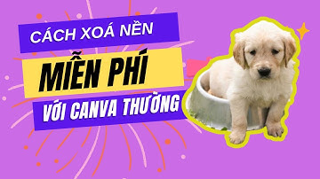 Hướng Dẫn Xóa Nền Ảnh Trên Canva Miễn Phí | Đơn Giản & Hiệu Quả