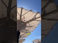 These convertible parasols were installed in the courtyard of the Prophet's Mosque in Medina