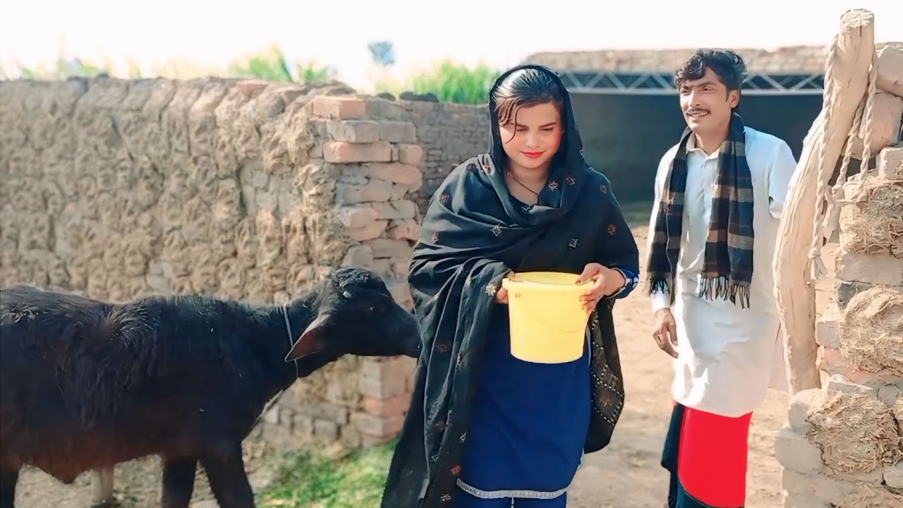 #pranks, #funny Tallu Mahnoor Sial DR Wajid SIMRAN new funny video 2025