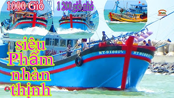 🔴 Cận Cảnh Quay Ghe Pha Súc || Lưới Rút Bình Thuận Về Cảng Lagi
