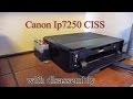 canon pixma ip7250 ciss ink with disassembling