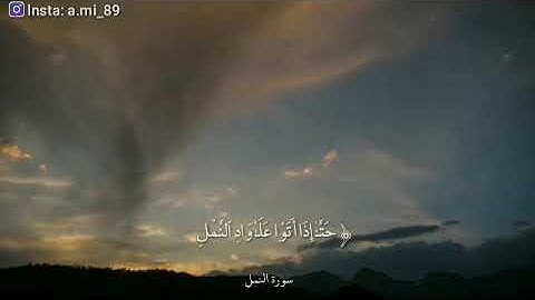 حتى اذا اتو على واد النمل) اجمل حالات واتس اب قرآن كريم 🎧; للقارئ اسلام صبحي🌸