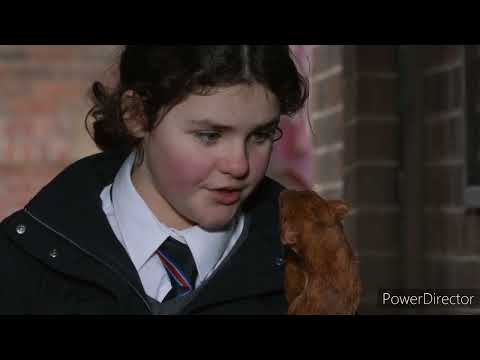 Coronation Street - Hope Frames Peanut For Biting Her (30th January 2023)