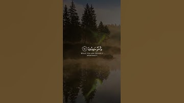 آيات من سورة النجم✨❤️
