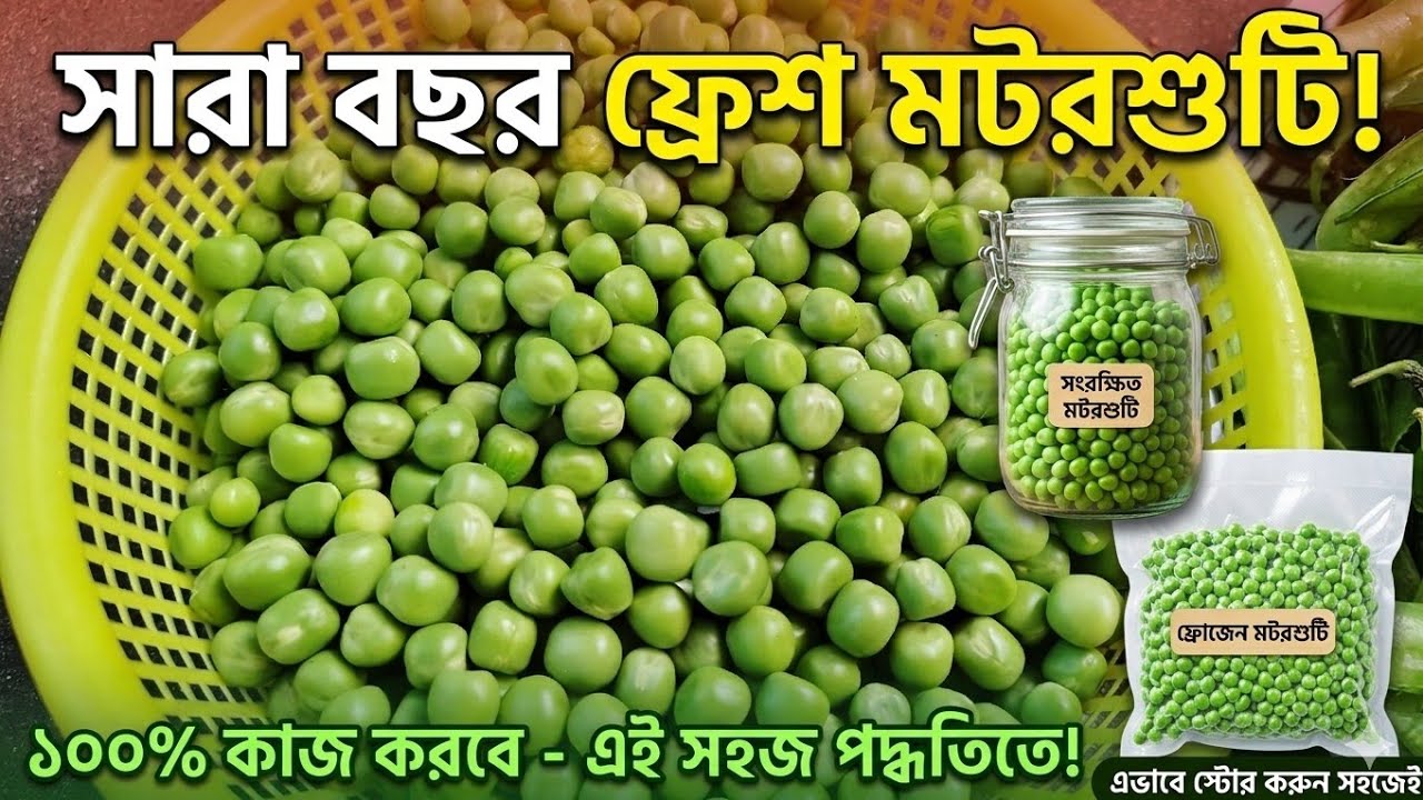 ফ্রিজ ছাড়া সারা বছর মটরশুঁটি ষ্টোর করার পদ্ধতি | Sara bochor motorshuti store korar tips and tricks