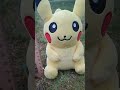Abonniert mich und mein Piccachu fällt 1 cm höher
