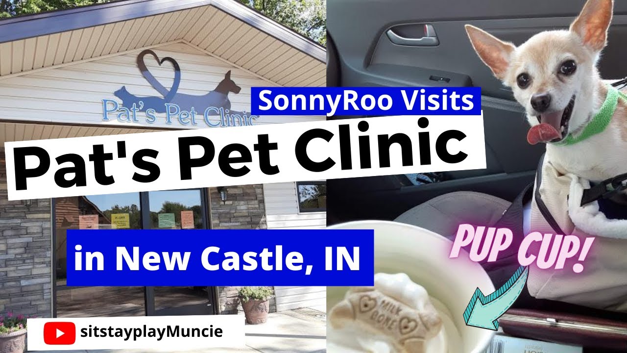 Need a Veterinarian in New Castle, IN? Visit Pat's Pet Clinic YouTube