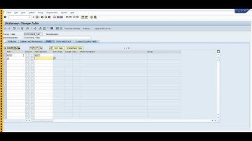 Tutorial how to create a Maintenance View SM30