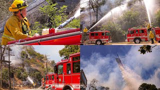 *Water Drops* LAFD Operating at Hollywood Hills Brush Fire