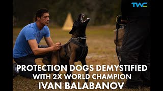 PERSONAL PROTECTION DOGS DEMYSTIFIED! || 2X World Champ Ivan Balabanov explains protection training!