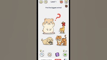 Brain Maze Level-1  #shortsvideo