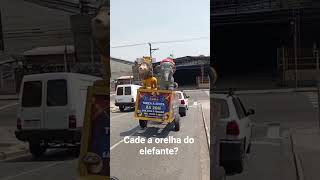 Cadê  a Orelha do Elefante? Assim ele não  voa!
