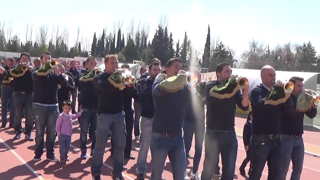 Banda de Cabecera Borriquillo, Certamen de Bandas, Úbeda 2016