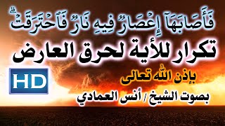 رقية الاية (فَأَصَابَهَآ إِعۡصَارٞ فِيهِ نَارٞ فَٱحۡتَرَقَتۡۗ) بصوت الشيخ انس العمادي