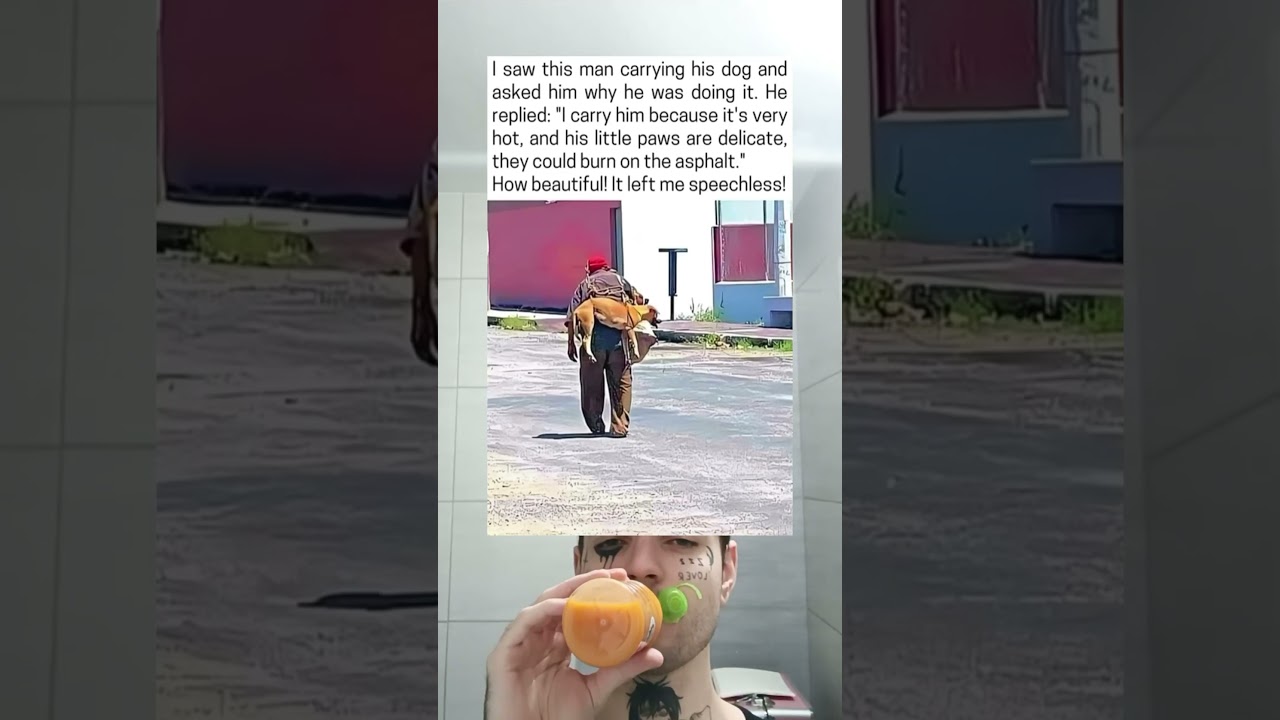 Man Carries Dog to Protect His Paws From Asphalt.