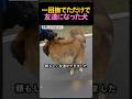 男性を守ってくれたワンちゃん。