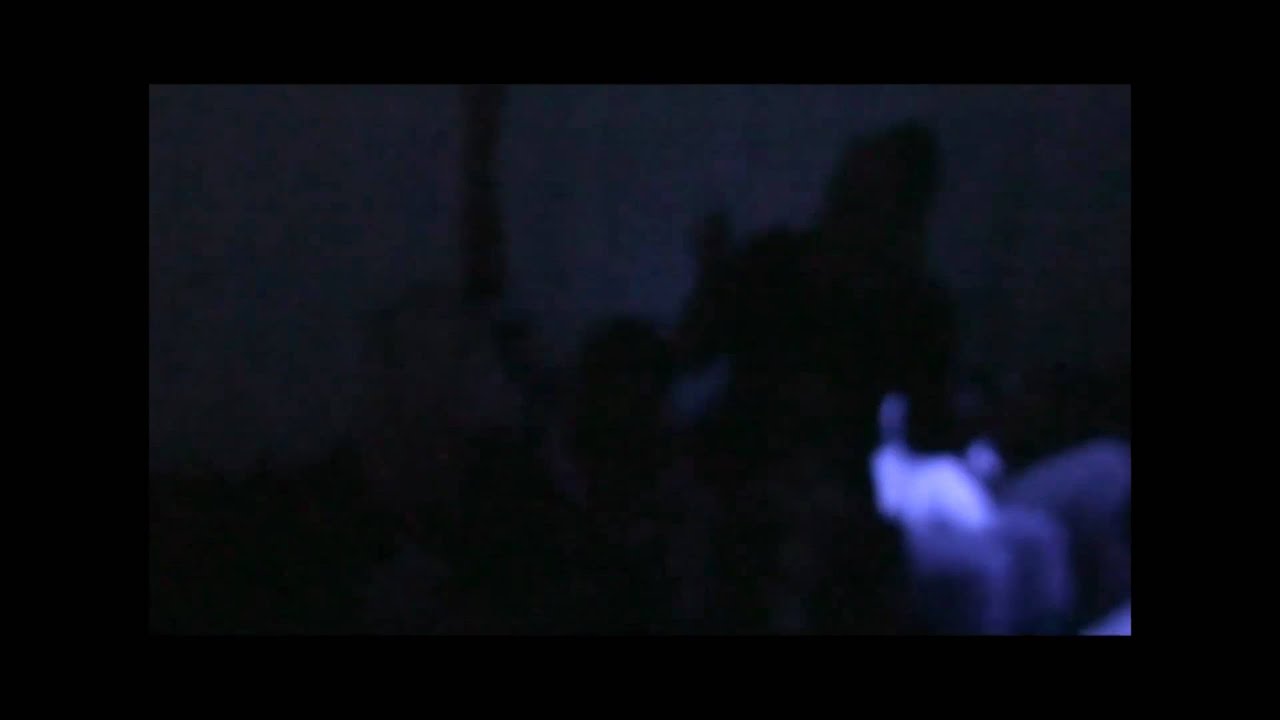 The Ice Hookah Lounge In Towson Part 2 YouTube