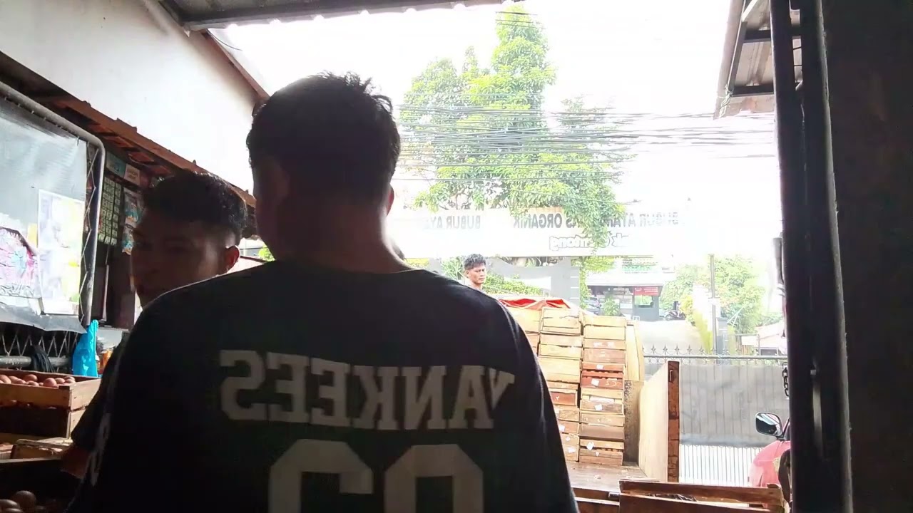 Bongkar telur bos. Lagi mahal harga telur bos 