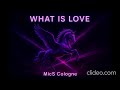 What is love - MicS Cologne 