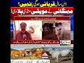 Crowds Increase in Mianwali Cattle Markets as Buyers Struggle with High Prices | News Update | Rohi