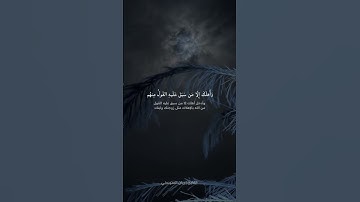 القاريء ريان المحيسني #اكسبلور #القارئ #لايك #راحة_نفسية