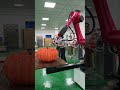 Painting robot #industrialrobot #sixaxisrobot #sprayingrobot #robot #automation