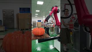 Painting robot #industrialrobot #sixaxisrobot #sprayingrobot #robot #automation