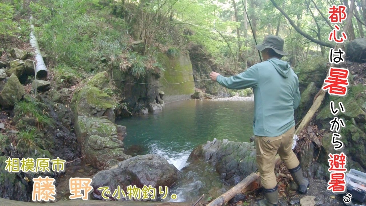 またまた夏に良い場所見つけました♪  久しぶりにデカ〇〇釣れたー♪  相模原市 藤野で小物釣り。