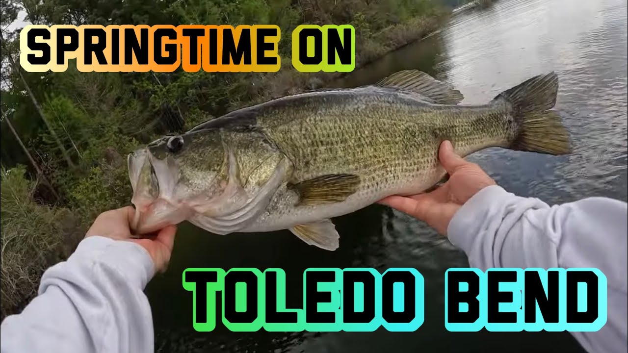 BASS FISHING on TOLEDO BEND in the spring