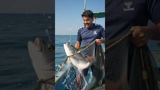 Deep Sea Fishing Adventure 🤪🤪🤪 #riverflow #fishing #fish