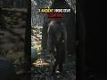 3 Hidden Viking Items You Probably Missed in Red Dead Redemption 2