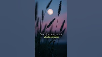 سورة النمل 🤍الاية59 #ياسر_الدوسري #قرآن #مقاطع_دينية #حالات_واتس #اكسبلور