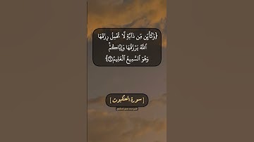 سورة العنكبوت الآية ٥٨ الى ٦١ بصوت الشيخ محمد صديق المنشاوي