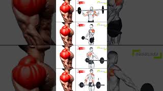 Wide Shoulders Ke Liye Best Exercises 💪 | Shoulder Workout Guide #shorts #gym