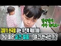 갑자기 한국말 하는 우즈벡 택시기사, 아이들은 순간 얼음, 여긴 한국인가? (우즈베키스탄 국제커플)