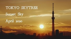 Live Channel Yk Youtube