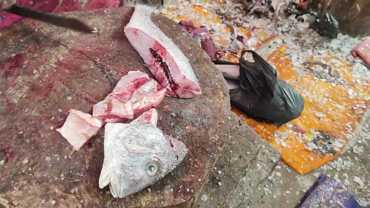 KODUVAA FISH CUTTING VIDEO | 